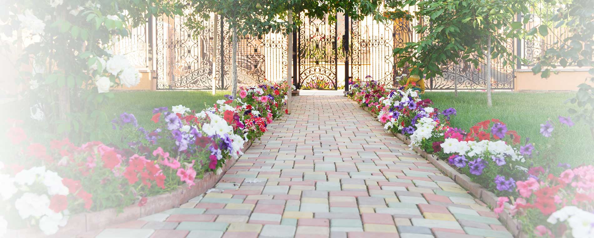 Backyard Patio Pavers